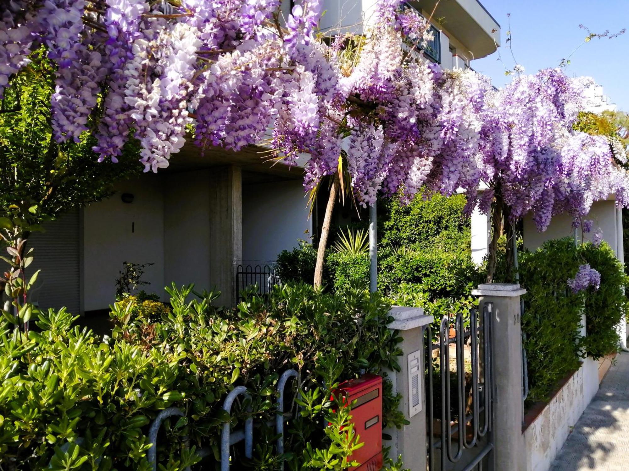 Casa Di Checco Βίλα Σαν Μπενεντέτο ντελ Τρόντο Εξωτερικό φωτογραφία