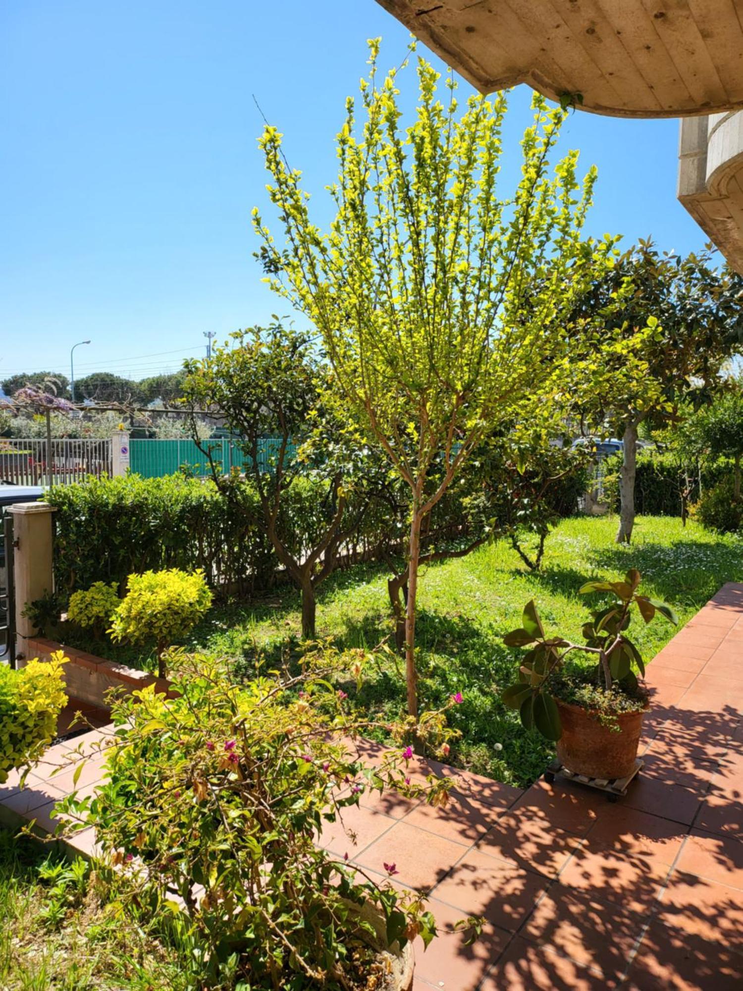 Casa Di Checco Βίλα Σαν Μπενεντέτο ντελ Τρόντο Δωμάτιο φωτογραφία